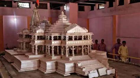 Sita Ashok tree to adorn Ram Temple vicinity in Ayodhya: See Pics ...
