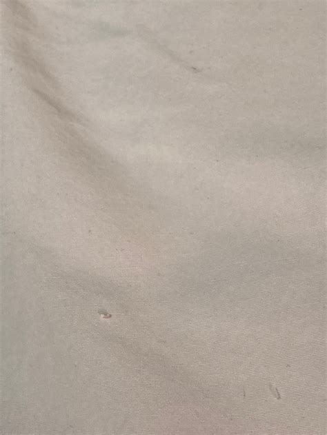 COMFORT INN & SUITES (Lubbock) - Hotel Reviews, Photos, Rate Comparison ...