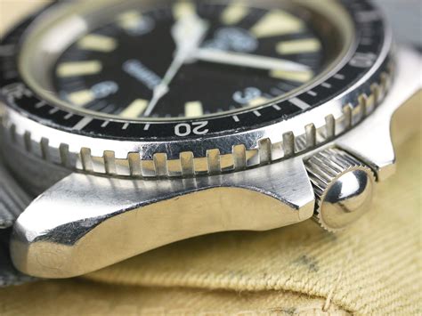 Image result for CWC Diver