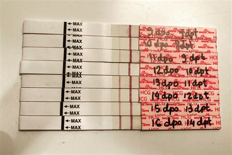 Update on my tests, 9dpo to 16 dpo …I thought I was stalling but last ...