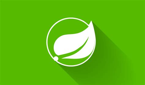 Image result for Spring Validation Logo