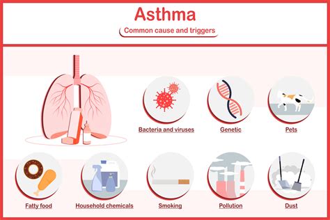 Vector illustrations infographic,symptoms of asthma.fatigue,wheezing,coughing,chest pain,common ...