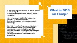Gdg Example Programs 的图像结果