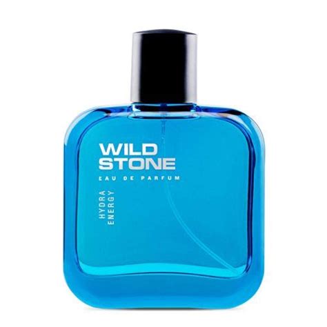 9 Best Perfumes For Men Under INR 500