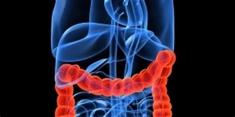 Colon Hydrotherapy