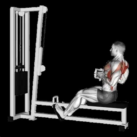 Image result for High Row Machine Exercise