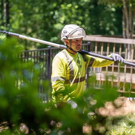 Image result for Alpharetta Tree Service