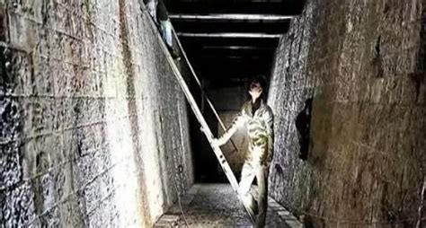 City’s First Ever Underground 3D Museum Has Been Inaugurated And Here's ...
