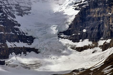 Columbia Icefield Adventure 1-Day Tour from Calgary or Banff 2022 - Viator