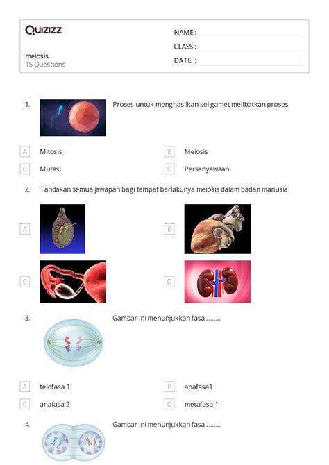 50+ meiosis worksheets for 10th Class on Quizizz | Free & Printable