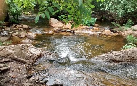 Ubbalamadugu Falls Is Perfect For A Weekend Getaway | WhatsHot Chennai
