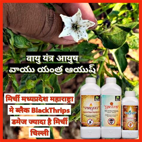 YK Laboratories Black Thrip Control Special | Vaayu Yantra Ayush (1L+1 ...