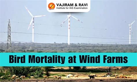 Wind Farms of Thar Desert Record World’s Highest Bird Mortality Rate
