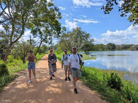 From Colombo to Sigiriya & Dambulla Day Tour - Klook India