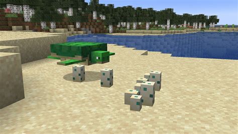 Image result for Minecraft Turtle Farm Tutorial
