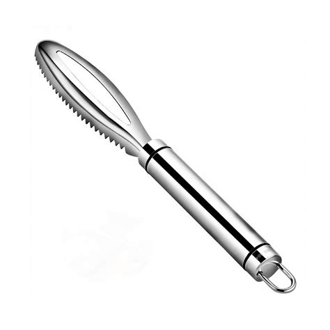 Buy Fish Scaler Stainless Steel Fish Scale Remover (B) Online at Low ...