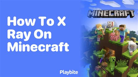 Image result for How Do You Add X-ray Hacks to a Minecraft World On Java Edition