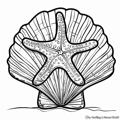 Free Printable Seashell Coloring Sheets