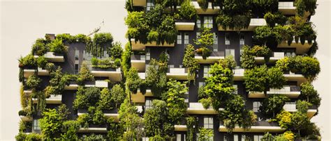 Nature Building 的图像结果