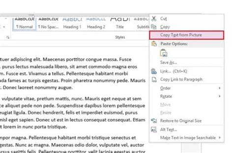 Image result for OneNote for Windows 10 Copy Text From Picture