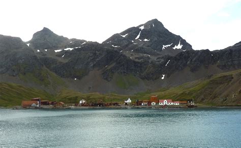 grytviken whalery station