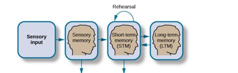 Storage Units of Memory Practice 的图像结果