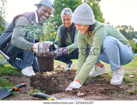 Image result for Community Tree-Planting
