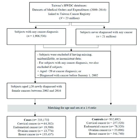 Case Study Workflow 的图像结果