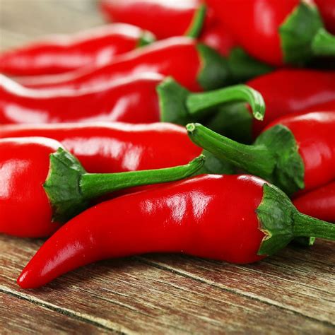 CHILLI PEPPER - Cayenne Red Hot | Buy Online at Seeds Of Plenty – Seeds ...
