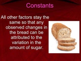 Image result for Constant Definition Scientific Method