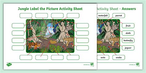 Jungle Label the Picture Activity Sheet