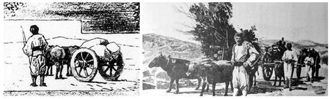 The Vernacular and Rural Houses of Agrarian Areas in the Zeta Region ...