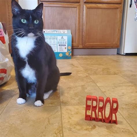 Image result for Error Model Gmod