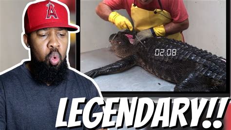 Fastest Workers Compilation 的图像结果