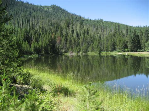 Lolo Pass, Montana in Summer | Lolo pass, Natural landmarks, Crazy life