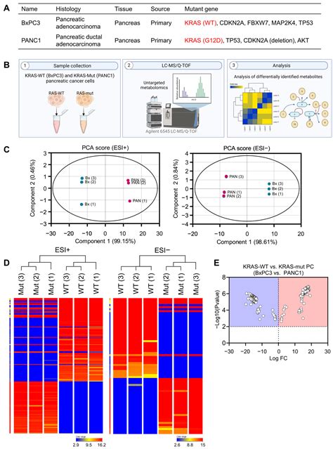 Metabolomic Approach to Identify Potential Biomarkers in KRAS-Mutant ...