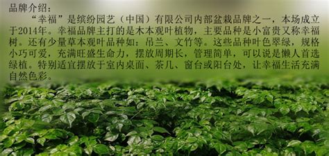 北京东方园林环境股份有限公司2020最新招聘信息_电话_地址 - 58企业名录