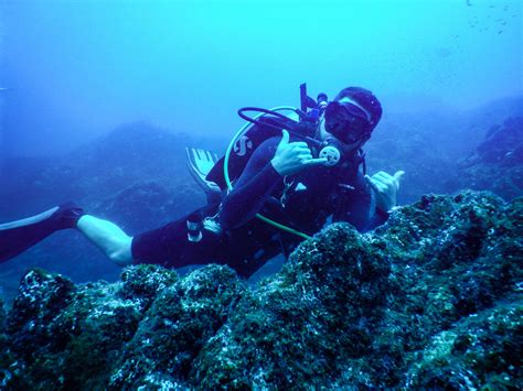 Scuba Dive La Paz - Adventures in Baja