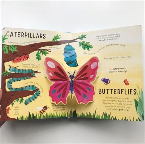 Non fiction pop up fun. Adding these ace books to my feed. Some of you ...