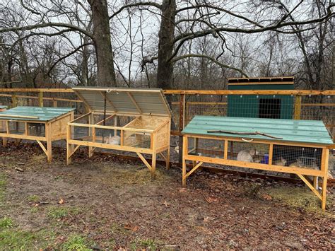 Rabbit hutch build – Artofit