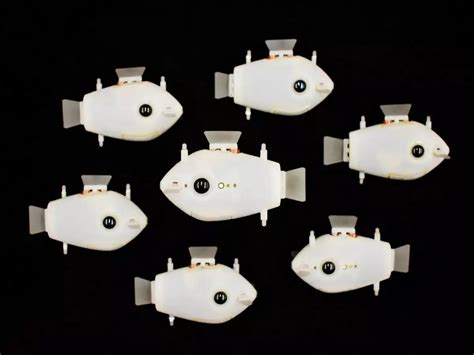 Scientists Develop Fish Robots That Swim Underwater To Help Eco ...