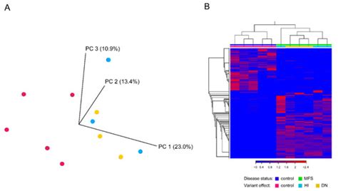 Multi-Omics Profiling in Marfan Syndrome: Further Insights into the ...