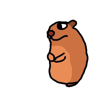 Image result for GUI Chomik Tutorials