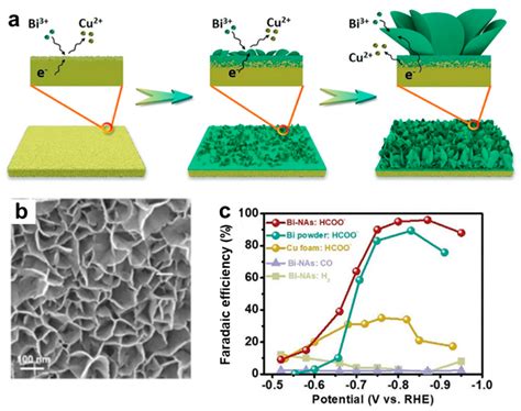Boosting the Electrocatalytic CO2 Reduction Reaction by Nanostructured ...