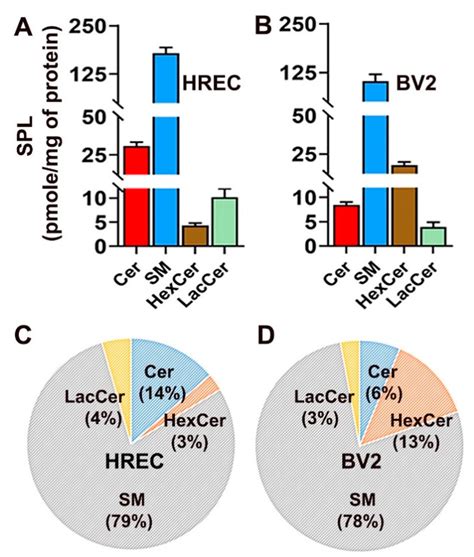 A Comprehensive Profiling of Cellular Sphingolipids in Mammalian ...