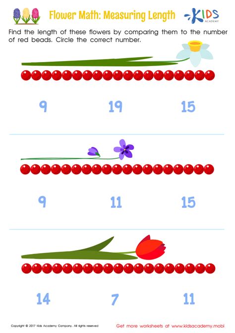 Image result for Math Measuring Kit