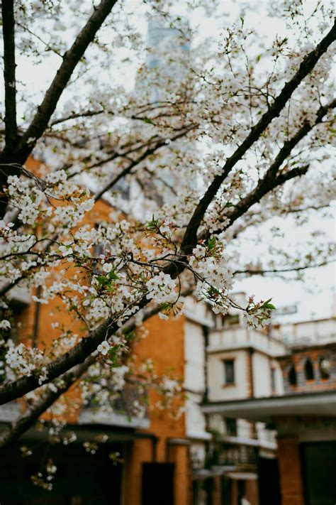 How AI Is Redefining Healthcare Access for Low-Income Workers in 2025 ...