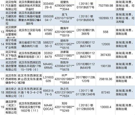 武汉公布最新“老赖”名单 有人欠款1500万未还_大楚网_腾讯网