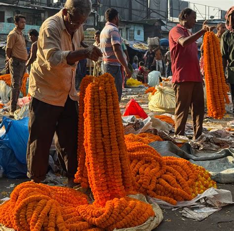 Review: iPhone 16 deserves a spot in your pocket | t2ONLINE