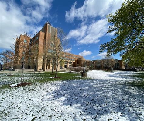 University of Windsor: Rankings, Courses & Fees